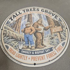 VINTAGE 1955 TALL TREES GROVE 12