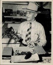 1949 Press Photo Admiral E.A. Coffin examines lobsters at Washington - kfx54067 picture