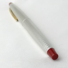 Pilot fountain pen 14K 585 mesh Silver x Red exquisite 14K rare picture