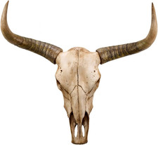 Cow Skull Wall Decor,Longhorn Skull Wall Decor Faux Longhorn Skull Faux Taxiderm picture