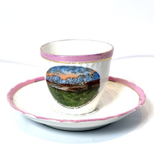 LAS CRUCES NEW MEXICO NM Souvenir ORGAN MOUNTAINS Antique China Tea Cup picture