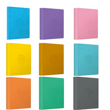 Pokémon Chinese 2026 Scarlet & Violet Eeveelutions Collection Binder 9 Styles picture