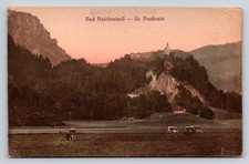 Vintage Bad Reichenhall St. Pankratz Germany Postcard 1916 Cows Mountains Church picture