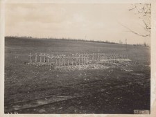 WW1 US AEF Official 1910s Military Cemetery Battlefield Crosses Rare Photo picture