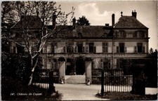 Vintage RPPC Chateau de Coppet Switzerland Postcard Sartorial Geneva Unposted  picture