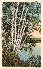 Greetings From Claremont NH New Hampshire Linen Postcard UNP VTG Curteich Unused picture