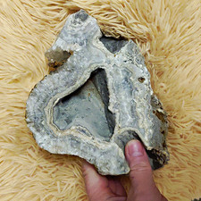 Gray/White Banded Agate Geode w/ Druzy Quartz Crystal Interior Display Specimen picture