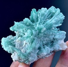 315 Carat Tourmaline Crystals Bunch Specimen From Afghanistan picture