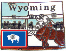 Wyoming State Shaped Map Lapel Metal Pin picture