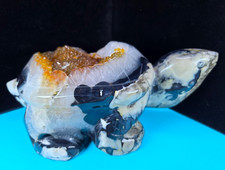 Volcano Agate Tortoise Turtle Carving  Carnelian Geode STRONG UV | 13.49 LB picture