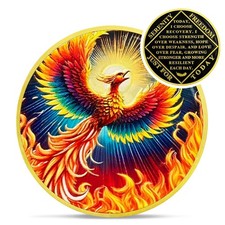 IELCJJ Phoenix Reborn from Fire NA AA Sobriety Medallions Chips Recovery Gift picture