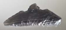 2.8 Inch Obsidian Knife Blade Primitive Tool Reproduction picture