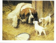Saint Bernard w/ Terrier Pups - Color Postcard Dog Art Print - Matted  picture