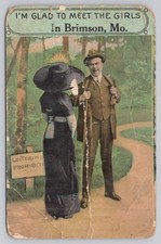 Glad to Meet the Girls in Brimson, Missouri MO DB Postcard picture