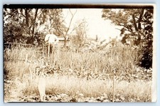c1910's  Man House Garden Farming Scene Field RPPC Photo Antique Postcard picture