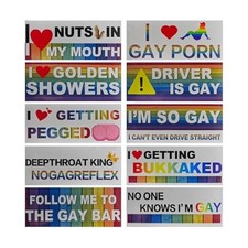 10PCS Funny Rainbow Magnetic Bumper Stickers - Hilarious Vehicle Decorations picture