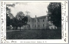 Antique c1905 Postcard ~ Grammar School ~ Sidney, NY New York picture
