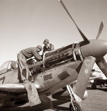 WW2 WWII Photo USAAF P-51D Tuskegee Airmen 332nd FG Italy  World War Two / 5505 picture