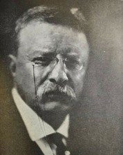 1919 Vintage Magazine Illustration President Theodore Roosevelt picture