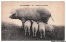 CAR-AGKP17-0927-COCHON Postcard - Happy Little Family picture