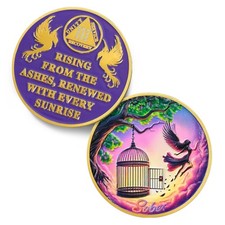 Break Free 3 Year Sobriety Coin - Rising from The Ashes Phoenix 3 Year AA Coi... picture