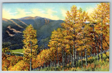 c1940s When Autumn Paints Trees Magic Colors Denver CO Linen picture