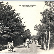 c1900s La Baule France Avenue des Lilas Postcard Donkeys Pedestrians Pines View picture