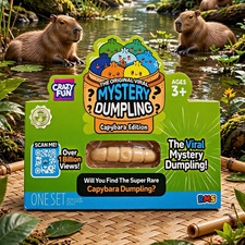Crazy Fun Mystery Dumpling Capybara Edition Blind Pack, 1 Pack Ages 3+ picture