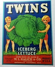 Vintage Twins Original 1940s Watsonville, CA Iceberg Lettuce Crate Label (B-2) picture
