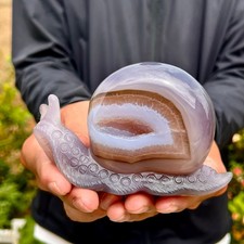 374G  Natural Ocean Agate Snail Hand Carving Gemstone Ornament Home Decoration picture