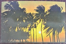 Miami Beach FL Florida Sunrise On The Florida Coast Chrome Postcard Unposted picture