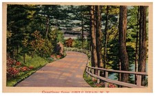 1943 OWLS HEAD MALONE NEW YORK NY WOODED ROAD CHROME SCENIC POSTCARD P8556 picture