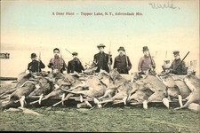 Tupper Lake NY Deer Hunt Adirondack Postal Card Co. c1900s-10s Postcard bhn picture