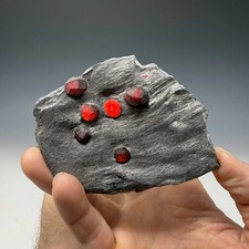 Almandine Garnet, Graphite Schist, Red Embers Mine, Erving, Franklin County picture