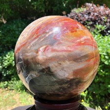 10.86 LB Natural Petrified Wood Sphere Polished Crystal Ball reiki healing picture