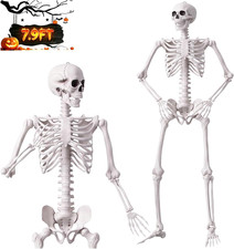 7.9FT/240CM Halloween Giant Oversized Human Skeleton, Tall Outdoor Skeleton picture