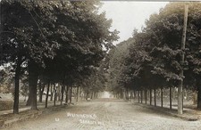 RPPC Washington Street Wisconsin Real Photo 20 Postcard c1907 picture