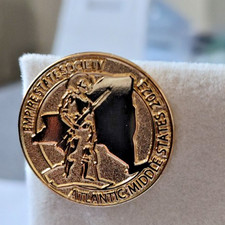 Sons of The American Revolution Empire Stat AMS Pin picture