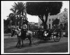 Photo:Cuban Volanta Horse Cart Havana Street Scene 1890s picture