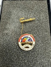 Vintage BFCL Rainbow Girls Worthy Advisor Pin picture