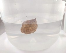 A Floating Rock 1.75