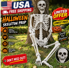 5.4ft Halloween Skeleton Full Body Life Size Skeleton Bones with Movable Joints picture