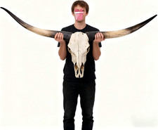 Longhorn Skull,70 Inches -Longhorn Wall Decor,Realistic Retro Bull Cow Skull Wal picture