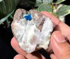 AAA Grade Blue Cavansite on Stilbite Minerals Matrix from India 68g picture