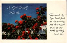 Vintage Postcard A get Well Wish Climbing Roses Bible Message CRG picture
