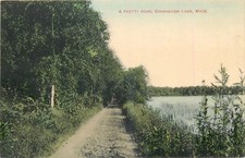 Cavanaugh Lake Michigan A Pretty Road Divided Back Postcard c1910s Hand Colored picture