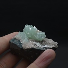 Pointed green Apophyllite on matrix #4603 picture