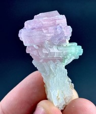 79 Carat Bi Color Tourmaline Crystal Specimen From Afghanistan picture