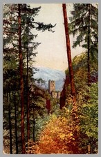 Herbst in Süd Tirol South Tyrol Italy WB c1940 Postcard picture