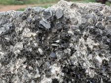 ☘️RR⛏️: Dark Smoky Crystals, Arizona Petrified Wood, 2.5 Lb picture